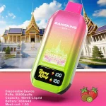 Bang King CITY 50K 50000 Puffs Vape Mr Blue