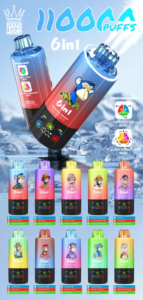 Bang Leader 110K Vape 6-in-1 Flavor Mix Switch 110000 Puffs Vape EU Warehouse Shipping all flavors