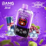 Bang Leader 120K Puffs Disposable Vape 2-in-1 Flavors Magnetic Slide Switch Smart Screen