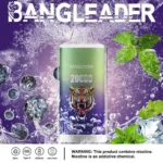 Bang Leader 20K Puffs Disposable Vape Dual Mesh Tiger Design  Shipping from EU Warehouse 1