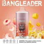 Bang Leader 20K Puffs Disposable Vape Dual Mesh Tiger Design  Shipping from EU Warehouse 1