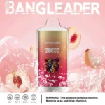 Bang Leader 20K Puffs Disposable Vape Dual Mesh Tiger Design  Shipping from EU Warehouse 1