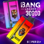 Bang Leader 30000 Puffs Disposable Vape 2-in-1 Dual Flavor