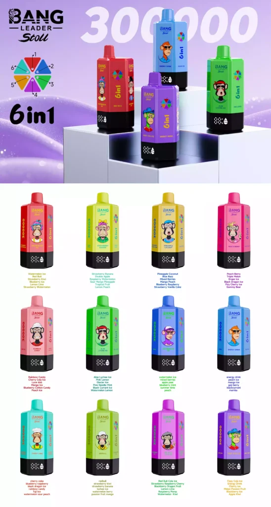 Bang Leader 300000 Puffs Disposable Vape 6-in-1 Flavors Hexagonal Design Smart Screen all flavors