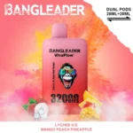 Bang Leader 32K Vape Dual Flavor 32000 Puffs Disposable Vape EU Warehouse Fast Shipping