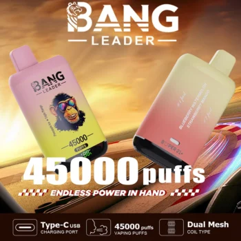 Bang Leader 45K Vape Dual Flavor LED Screen 45000 Puffs Disposable Vape EU Warehouse Shipping