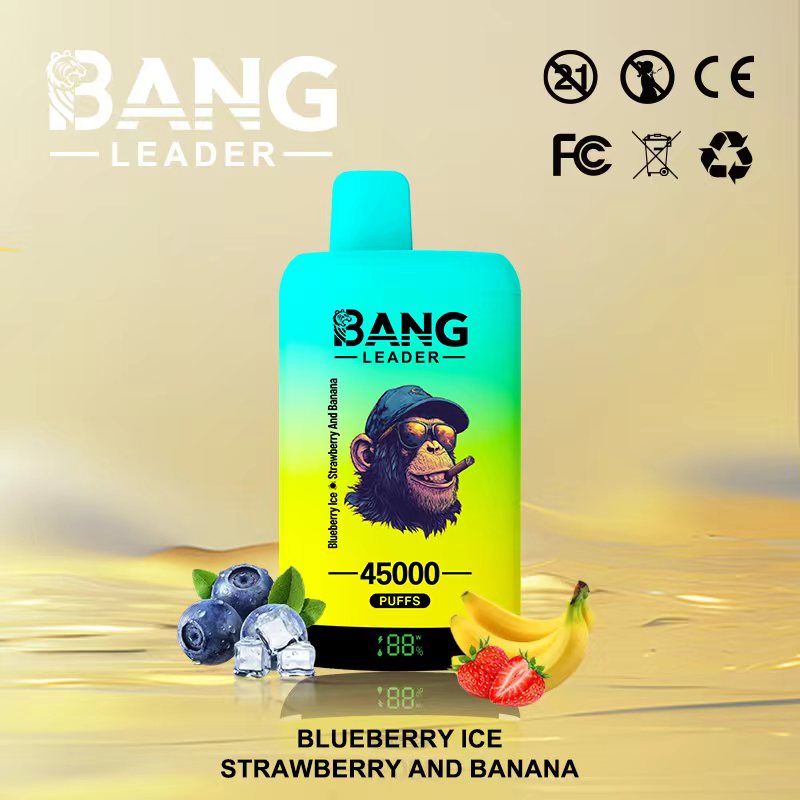 Bang Leader 45K Vape Dual Flavor LED Screen 45000 Puffs Disposable Vape EU Warehouse Shipping Blueberry Ice & Strawberry and Banana Bang Leader 45K Vape Dual Flavor LED Screen 45000 Puffs Disposable Vape EU Warehouse Shipping Blueberry Ice & Strawberry and Banana