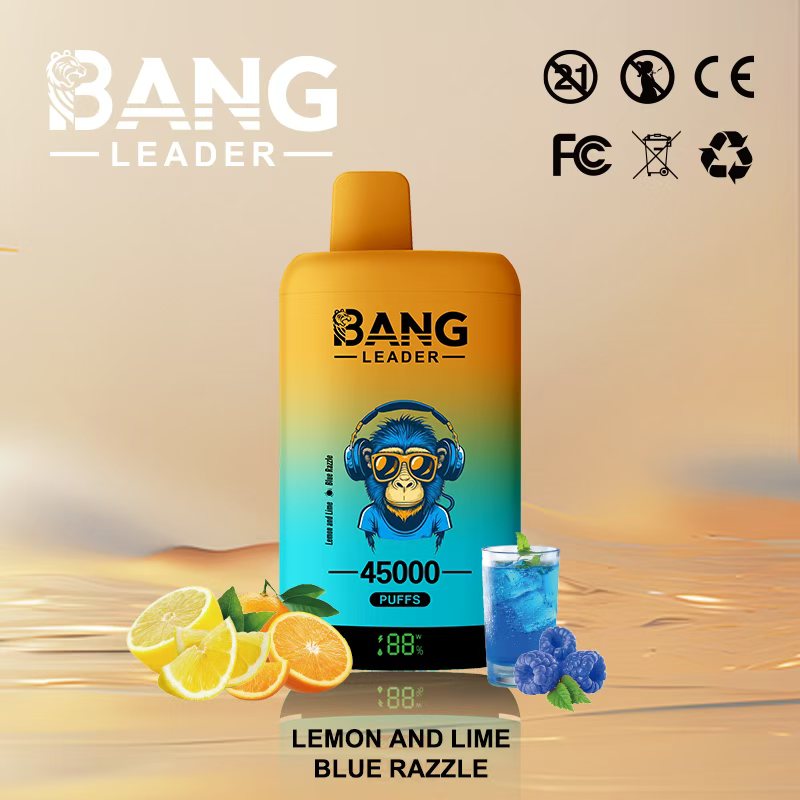 Bang Leader 45K Vape Dual Flavor LED Screen 45000 Puffs Disposable Vape EU Warehouse Shipping Lemon and Lime & Blue Razzle Bang Leader 45K Vape Dual Flavor LED Screen 45000 Puffs Disposable Vape EU Warehouse Shipping Lemon and Lime & Blue Razzle