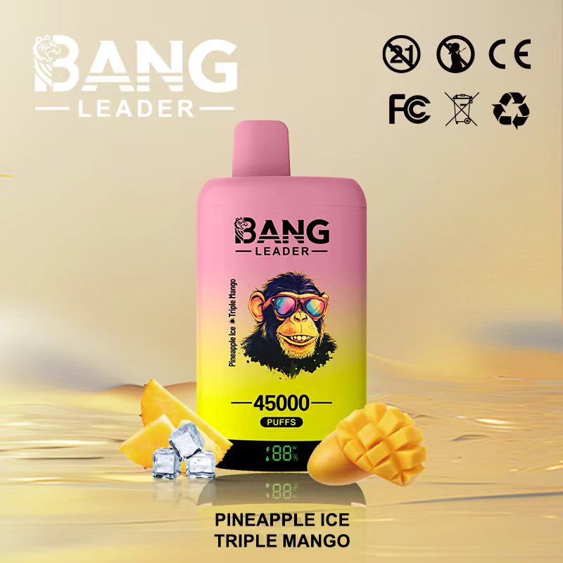 Bang Leader 45K Vape Dual Flavor LED Screen 45000 Puffs Disposable Vape EU Warehouse Shipping Pineapple Ice & Triple Mango Bang Leader 45K Vape Dual Flavor LED Screen 45000 Puffs Disposable Vape EU Warehouse Shipping Pineapple Ice & Triple Mango