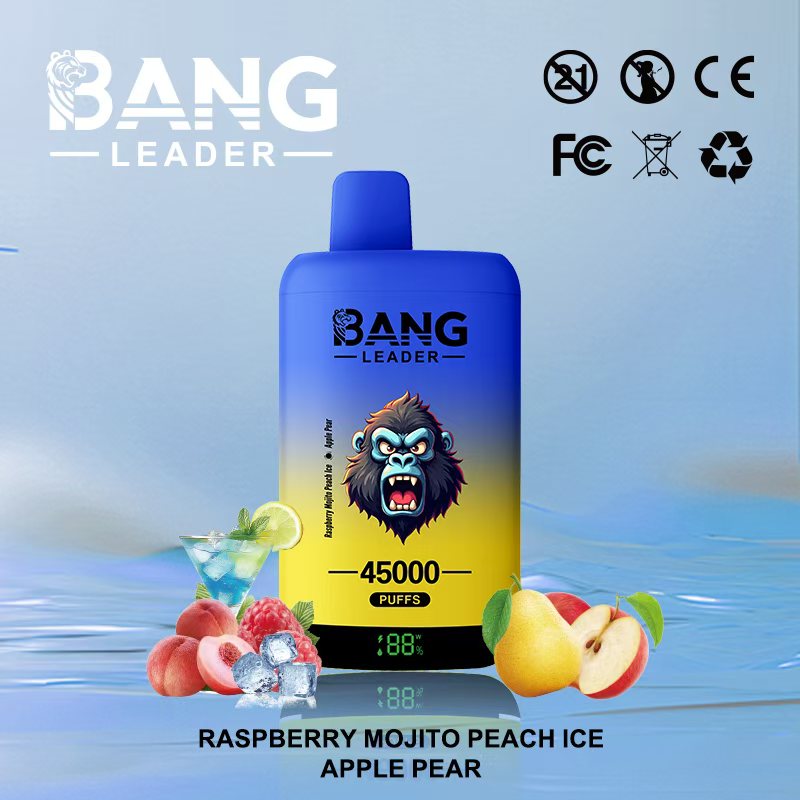 Bang Leader 45K Vape Dual Flavor LED Screen 45000 Puffs Disposable Vape EU Warehouse Shipping Raspberry Mojito Peach Ice & Apple Pear Bang Leader 45K Vape Dual Flavor LED Screen 45000 Puffs Disposable Vape EU Warehouse Shipping Raspberry Mojito Peach Ice & Apple Pear