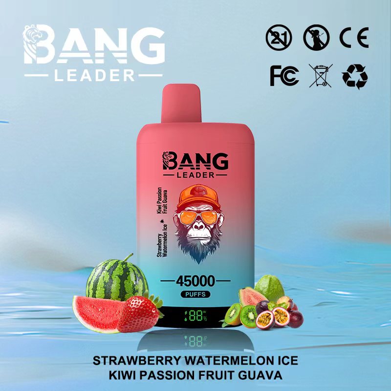 Bang Leader 45K Vape Dual Flavor LED Screen 45000 Puffs Disposable Vape EU Warehouse Shipping Strawberry and Watermelon & Kiwi Passion Fruit Guava Bang Leader 45K Vape Dual Flavor LED Screen 45000 Puffs Disposable Vape EU Warehouse Shipping Strawberry and Watermelon & Kiwi Passion Fruit Guava