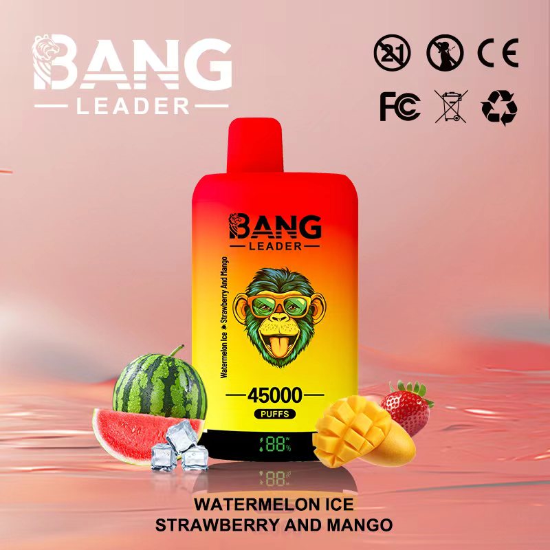 Bang Leader 45K Vape Dual Flavor LED Screen 45000 Puffs Disposable Vape EU Warehouse Shipping Watermelon Ice & Strawberry and Mango Bang Leader 45K Vape Dual Flavor LED Screen 45000 Puffs Disposable Vape EU Warehouse Shipping Watermelon Ice & Strawberry and Mango