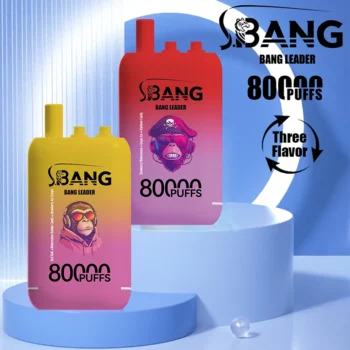 Bang Leader 80K Vape 3-in-1 Flavor 80000 Puffs Disposable Vape EU Warehouse Shipping