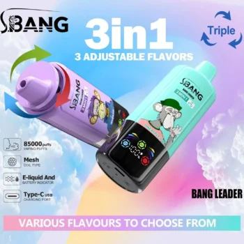 Bang Leader 85K Puffs Disposable Vape 3-in-1 Flavor Switch Smart Display Monkey Design