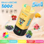 Bang DE 300K Vape 5in1 Flavors Main Image