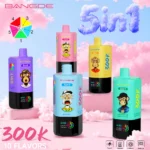 Bang DE 300K Vape 5in1 Flavors Main Image