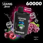 Bang Leader 60K Vape 2in1 Flavors main image