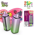 Bang-King-250K-4-in-1-main-picture