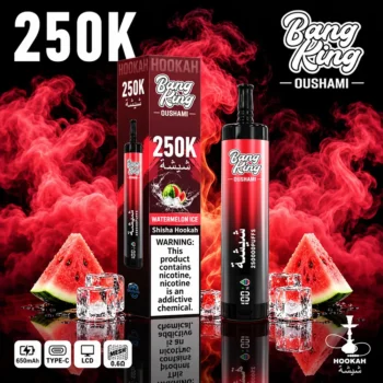 Bang King Oushami 250K Shisha Vape | High Vapor Rechargeable Hookah Disposable Vape