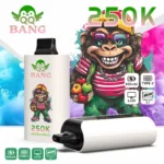 QQ BANG 250K Disposable Vape Blackcurrant Lemon Pomegranate