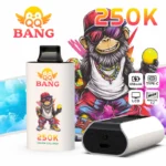 QQ BANG 250K Disposable Vape Blackcurrant Lemon Pomegranate