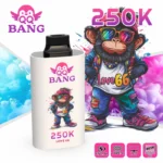 QQ BANG 250K Disposable Vape Blackcurrant Lemon Pomegranate
