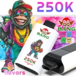 QQ BANG 250K Disposable Vape Blackcurrant Lemon Pomegranate