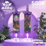 QQ BANG Shisha 500K Vape Main Image